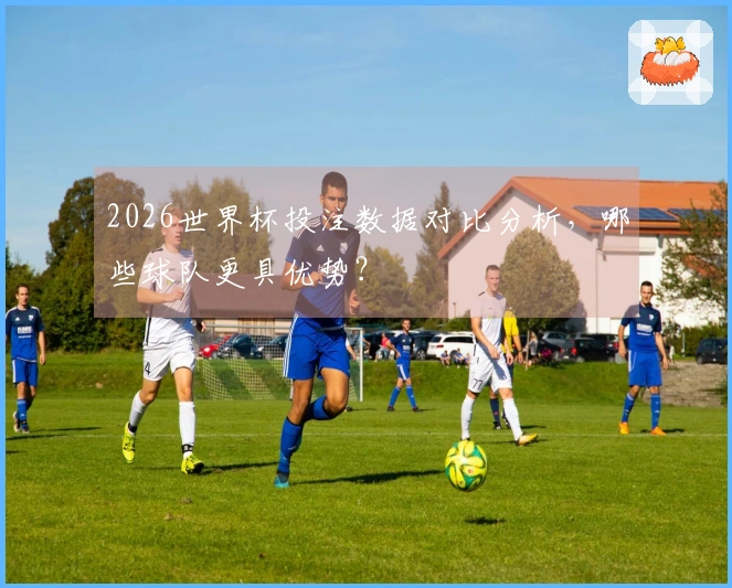 2026世界杯投注数据对比分析，哪些球队更具优势？