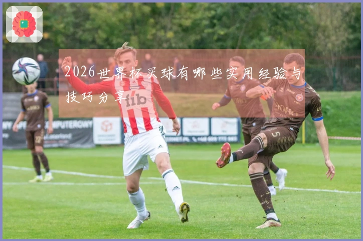 2026世界杯买球有哪些实用经验与技巧分享